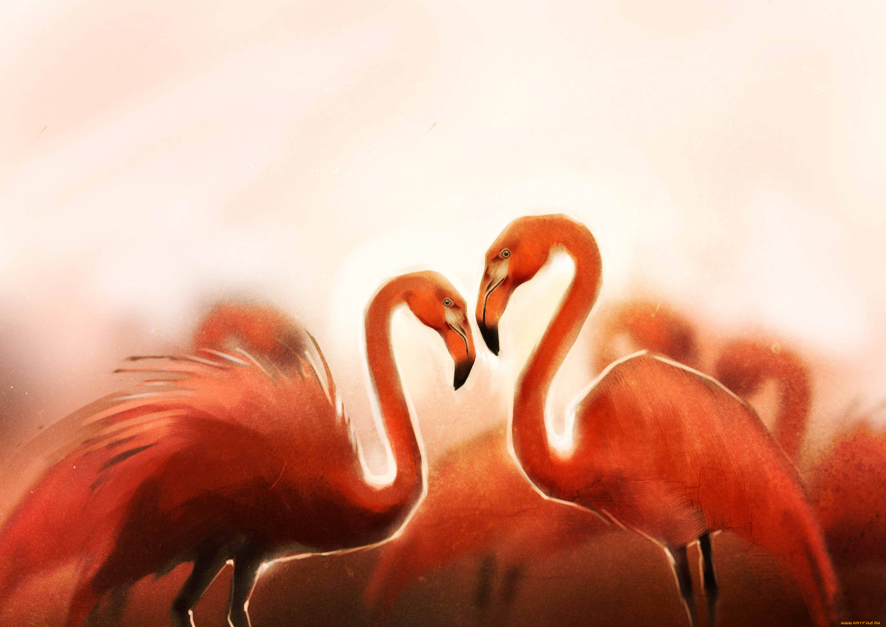 , , , flamingo